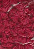 Bloemetjes medium- donker rood