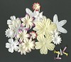 Flower and Brads - Wit geel
