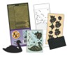 Laser Cards - Black Swan / Zwarte Zwaan