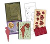 Laser Cards - Red Parrot / Rode Papagaai