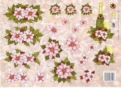 3D A4 Tier.- roze kerststerrren champagne