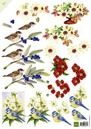 A4 KNIPVEL MATTIE BIRDS & FLOWERS  MB0131